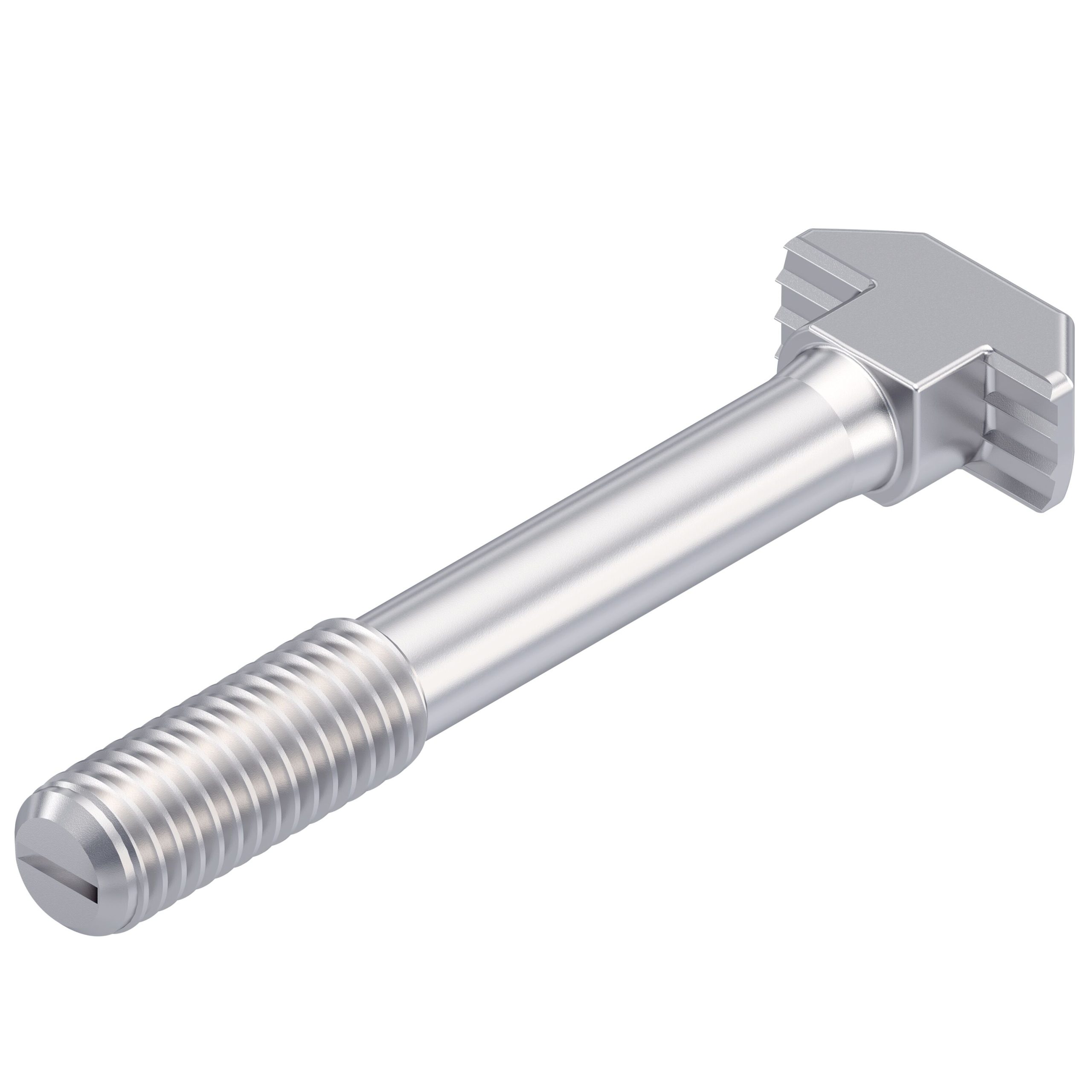 04627-TORNILLO-CON-CABEZA-MARTILLO-HS10-M8X60.jpg